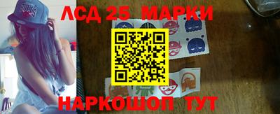 шишки Донской