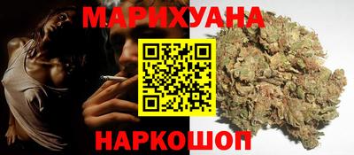 шишки Донской