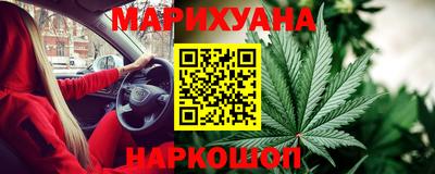 шишки Донской