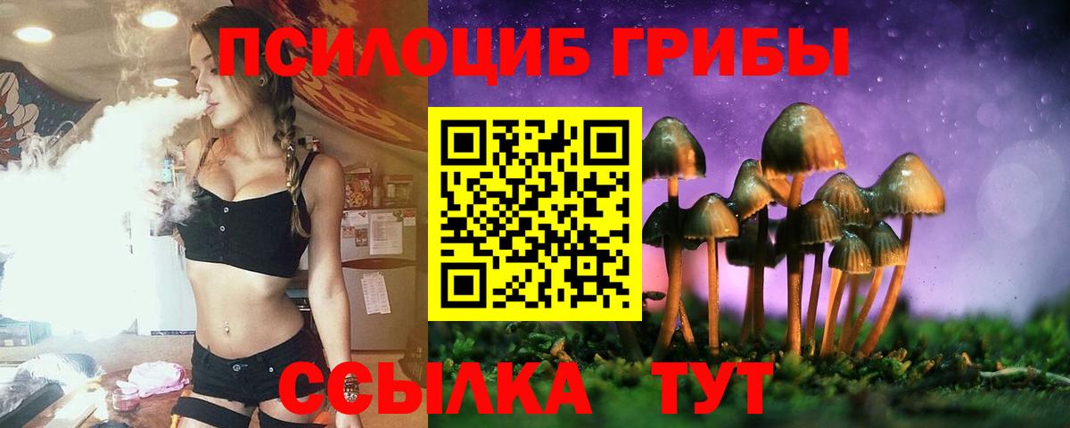 Псилоцибиновые грибы Psilocybine cubensis Менделеевск